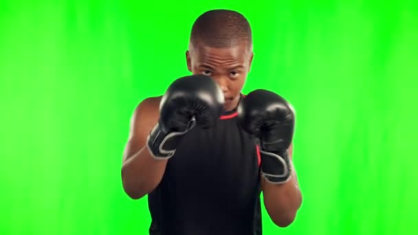 黒人男性 ボクサー スタジオの背景に対して緑色の画面で戦うためにパンチング アフリカの男性の肖像画や運動 運動やモックアップのトレーニングでボクシングの手袋を持つ戦闘機 — ストック動画