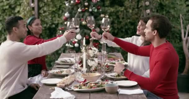 圣诞节 庆祝活动 与朋友在假日 圣诞晚会或香槟派对上一起喝酒 在花园或后院 举杯庆祝 举杯庆祝 喝酒庆祝 — 图库视频影像