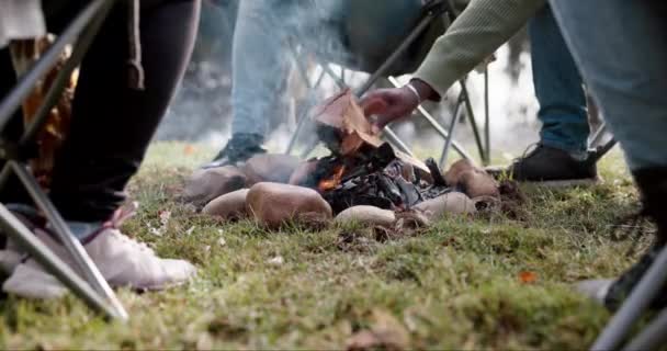 Φίλοι Campfire Και Άνθρωποι Εξωτερικούς Χώρους Στη Φύση Για Διασκέδαση — Αρχείο Βίντεο