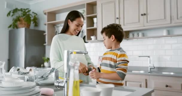 お母さん 子供を教え 家庭や男の子の学習で料理を掃除し 石鹸と水で助け合い 洗濯します 母親と息子と一緒に掃除をし家事をするために — ストック動画