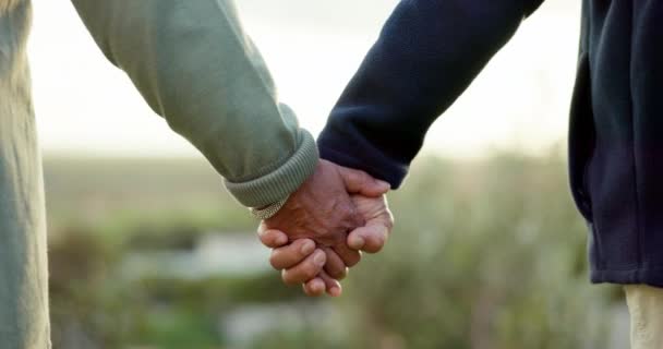 Para Trzymając Się Ręce Spacerując Parku Świeżym Powietrzu Miłością Zaangażowaniem — Wideo stockowe