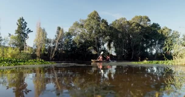 Les Gens Kayak Aviron Sur Lac Dans Nature Pour Défi — Video