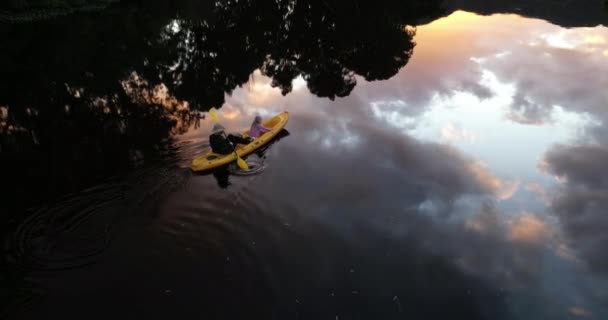 上記の旅行 空と木の反射でカヤックの自然 川や人々は 休日の冒険にリラックスします 雲と風景 スポーツ休暇のために湖に漕ぎ人の空中ビュー — ストック動画