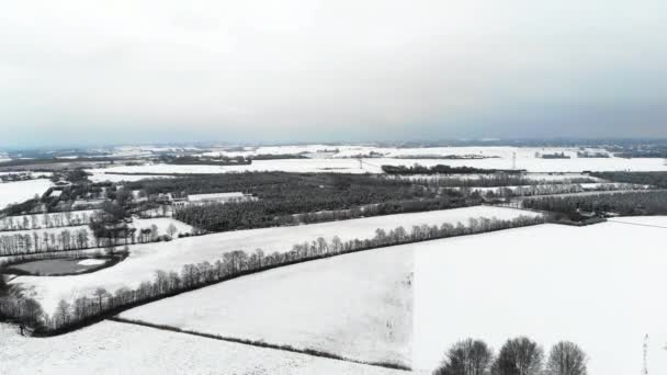 Neve Drone Paisagem Natureza Inverno Para Meio Ambiente Floresta Paz — Vídeo de Stock