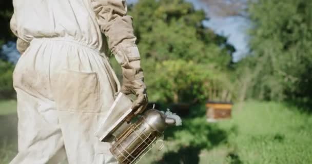Bienen Landwirtschaft Und Imker Mit Rauchmaschine Zur Honig Waben Und — Stockvideo