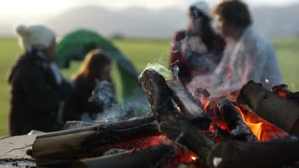 Lagerfeuer Freunde Und Holz Der Natur Brennen Lagerfeuer Für Wärme — Stockvideo