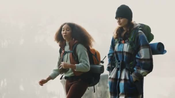 バックパックや友人と一緒に自然の中で寒さ 曇りの朝に山の中でハイキング 冒険の女性が荒野を歩きながら絆を深めながら探索する — ストック動画
