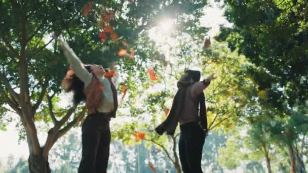 Freunde Frauen Und Herbstlaub Freien Einem Park Mit Bäumen Freiheit — Stockvideo