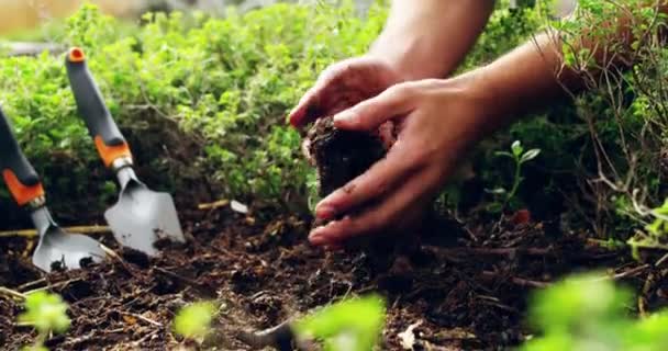 Natur Gartenarbeit Und Handbepflanzung Mit Erde Für Einen Gemeinschaftsgarten Auf — Stockvideo