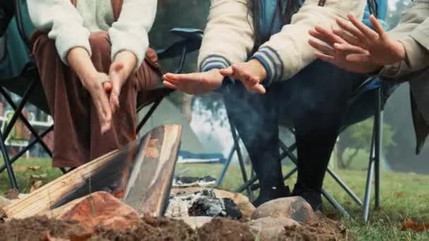 Kışın Şenlik Ateşinde Odun Ateş Sıcak Eller Birlikte Kamp Yolculuk — Stok video