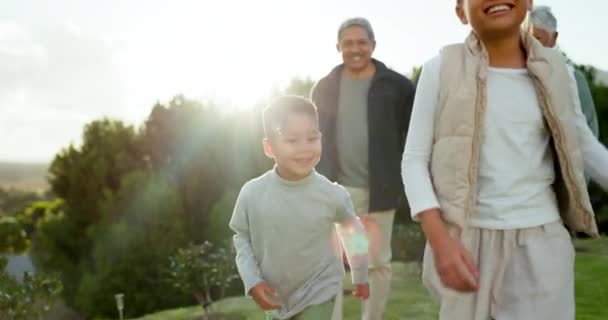 Веселье Природа Бабушки Дедушки Гуляют Внуками Парке Семейном Отдыхе Счастья — стоковое видео