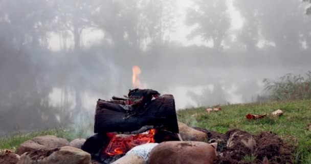 Fuoco Fiamma Falò Campeggio Nei Boschi Foresta Pioggia Inverno Autunno — Video Stock