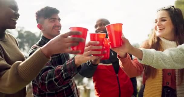 Teman Berkemah Dan Bersulang Minum Luar Ruangan Untuk Perayaan Pesta — Stok Video