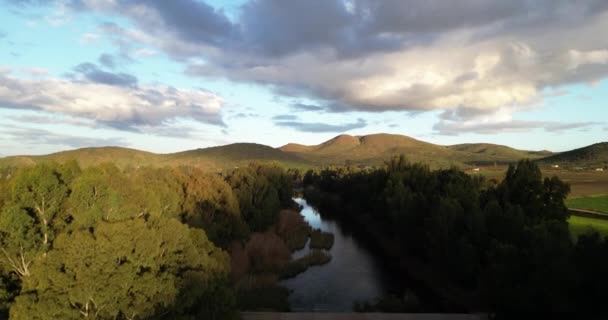 Paysage Bois Vert Avec Arbres Ciel Nature Environnement Avec Rivière — Video