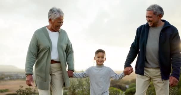 在家庭节日期间 祖父母与孙子孙女一起散步和牵着手 老年男女在周末外出旅行或度假时与男孩在一起 — 图库视频影像