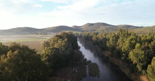 Landschaft Fluss Und Bäume Mit Natur Umwelt Und Landschaft Luftaufnahme — Stockvideo
