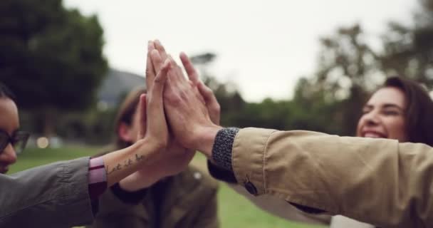 Hands High Five Friends Park Picnic Bonding Celebration Freedom Friendship — Stok video