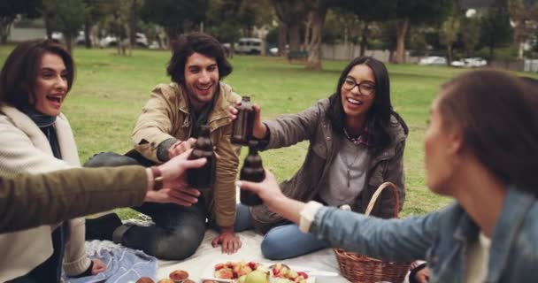 Pique Nique Fête Toast Par Des Amis Dans Parc Avec — Video