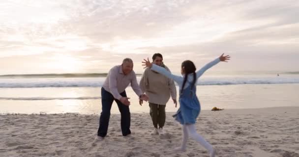 Grandparents Child Family Hug Beach Fun Vacation Holiday Adventure Sunset — Video Stock