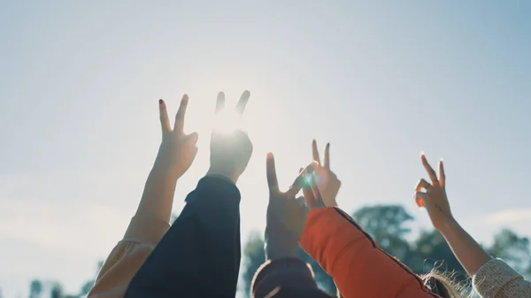 stock image Peace sign, support and hands of friends in nature for community, motivation and teamwork. Partnership, relax and hand gesture with people in outdoors for collaboration, diversity and solidarity.