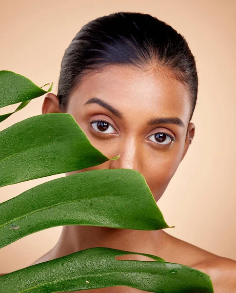 Skönhet Hudvård Och Porträtt Med Indian Kvinna Med Växt För — Stockfoto