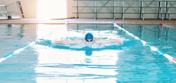 Swimming, sports and man in pool at gym for training, competition and exercise in water. Professional swimmer, fitness and male person practice for challenge, workout and performance for wellness.