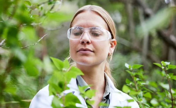 科学家妇女 植物和野外研究与重点 户外和眼镜的安全 分析和成长 女性科学 森林或带有叶子的森林 塑料护目镜或制药检查 — 图库照片