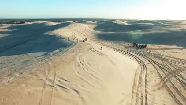 Desert Sports Sandboarding Men Drone Aerial View African Nature Safari — Vídeo de Stock