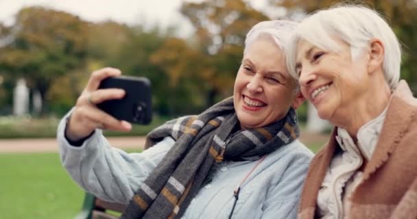 Senior Selfie Donne Parco Felici Legano Rilassano Nella Natura Una — Video Stock