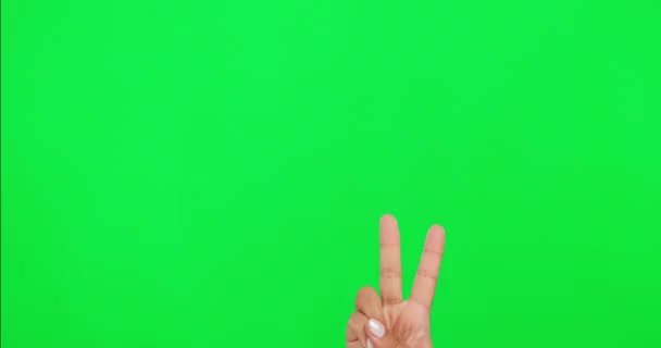 Ειρήνη Σημάδι Και Χέρι Ενός Ατόμου Στην Πράσινη Οθόνη Για — Αρχείο Βίντεο