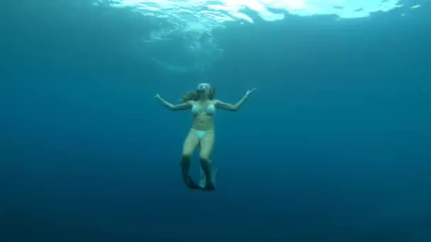 모리셔스에서의 휴가를 바다에서 스쿠버 다이빙 다이버 섬에서 산호초를 탐험하기 물에서 — 비디오