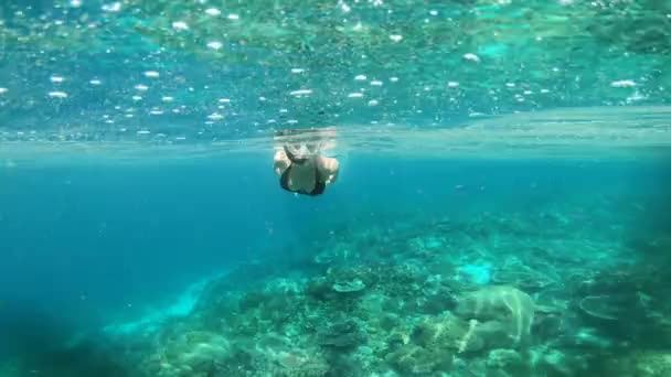 游泳和在海洋中的女人 都有在毛里求斯探险 度假和度假的标志 热带水域中的自然 旅行和女性以手巧的姿势探索珊瑚礁 — 图库视频影像