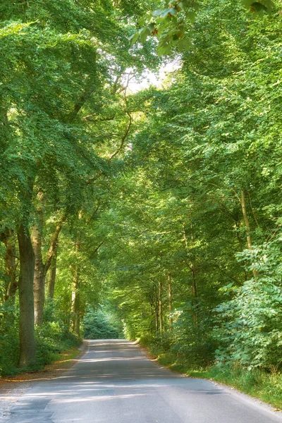 Tanska Luonto Maaseutu Ympäristö Luonto Tanskan Kuningaskunnassa — kuvapankkivalokuva