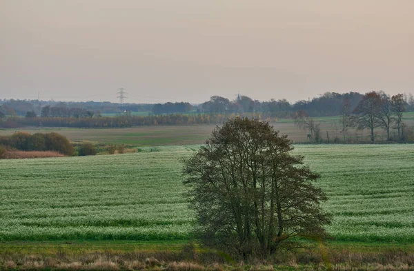 Denmark Nature Countryside Environment Nature Kingdom Denmark — Stock Photo, Image