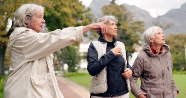 Старшие Друзья Разговаривая Гуляя Вместе Открытой Дорожке Расслабиться Природе Пожилыми — стоковое видео