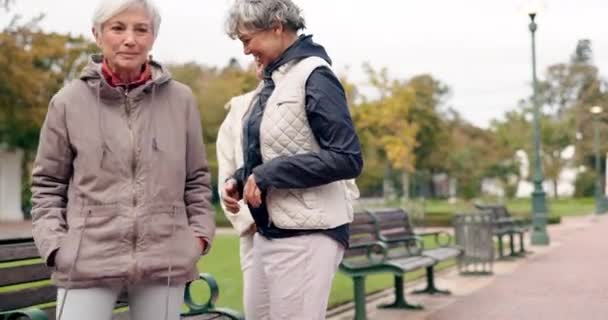 快乐的老朋友们 一起走在户外小径上 或者和退休的老年女性一起在大自然中放松一下 秋天或冬天 人们坐在公园的长椅上聊天聊天 — 图库视频影像