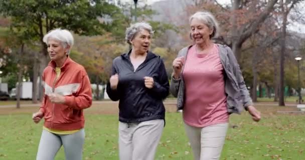 Ηλικιωμένες Γυναίκες Περπάτημα Και Φίλοι Καλή Φυσική Κατάσταση Ευεξία Και — Αρχείο Βίντεο