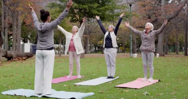 Entrenador Parque Mujeres Mayores Estiramiento Yoga Fitness Para Bienestar Salud — Vídeo de stock