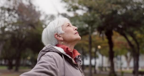 Wolność Przyroda Starsze Kobiety Oddychające Wakacjach Wakacjach Zimowych Podróżach Park — Wideo stockowe