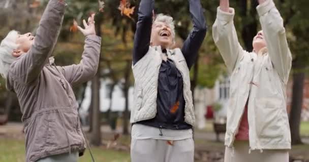 Ältere Frauen Freunde Und Werfen Blätter Für Ein Komisches Spiel — Stockvideo