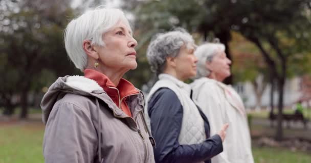 公园和老年妇女与和平 瑜伽和健康的身体 平静和普拉提训练 老年人俱乐部 户外运动 新鲜空气 — 图库视频影像