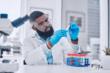Örnek analiz, araştırma ve laboratuvarda bilim ya da ilaç tedavisi için kanı olan bir bilim adamı. Odaklan, doktor ya da virüs testi için DNA şişesi olan siyah bir adam, teknisyen işi ya da uzman kontrolü.