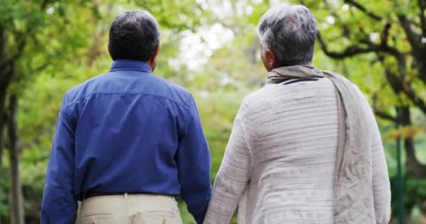 Kıdemli Çift Geri Döndü Yürümek Park Etmek Emeklilik Bağıyla Sohbet — Stok video
