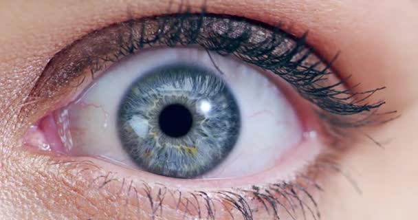 Μπλε Μάτι Άνθρωπος Και Μεγέθυνση Όραση Ίριδα Και Eyecare Ελέγξετε — Αρχείο Βίντεο