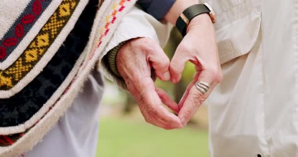 Sunbae Aşk Yürekli Eller Birlikte Romantik Bir Buluşma Için Parka — Stok video