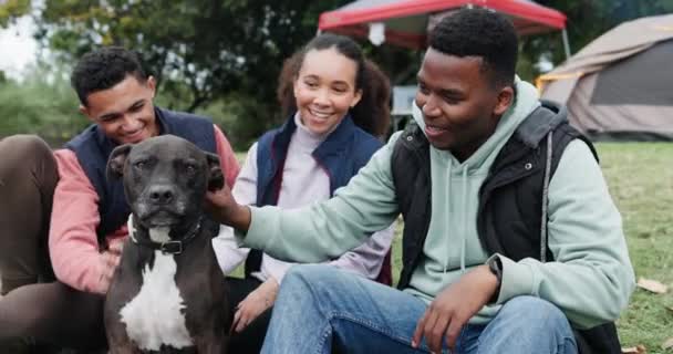 Σκύλος Ευτυχία Και Φύση Κάμπινγκ Άνθρωποι Χαμογελούν Χαλαρώνουν Και Παίζουν — Αρχείο Βίντεο