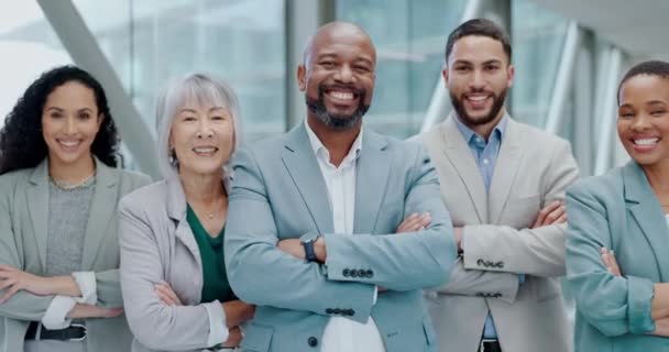 ビジネスチーム そしてハッピーな従業員の企業肖像画を共同で作成します 多様性 プロフェッショナルな男性と女性グループ オフィスでのプライド リーダーシップ — ストック動画