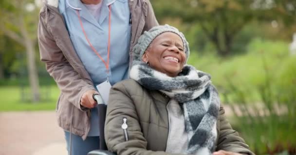 Enfermera Paz Parque Con Anciana Silla Ruedas Para Retiro Cuidado — Vídeos de Stock
