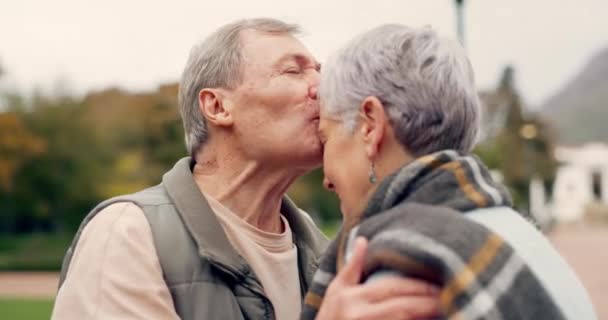 フォアヘッド シニアカップルは ロマンチックな絆で会話と公園で 老人や高齢男性は ロマンス またはソウルメイトの接続アウトドアで女性を受け入れる — ストック動画