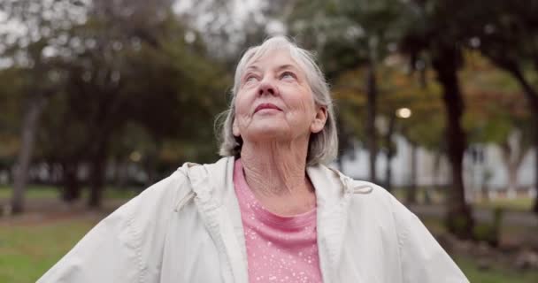 年长的女人 在公园里思考着 在户外呼吸着新鲜空气 在大自然或树林里散步 退休了 积极向上的心态或感恩的快乐 脸蛋和老年人 — 图库视频影像